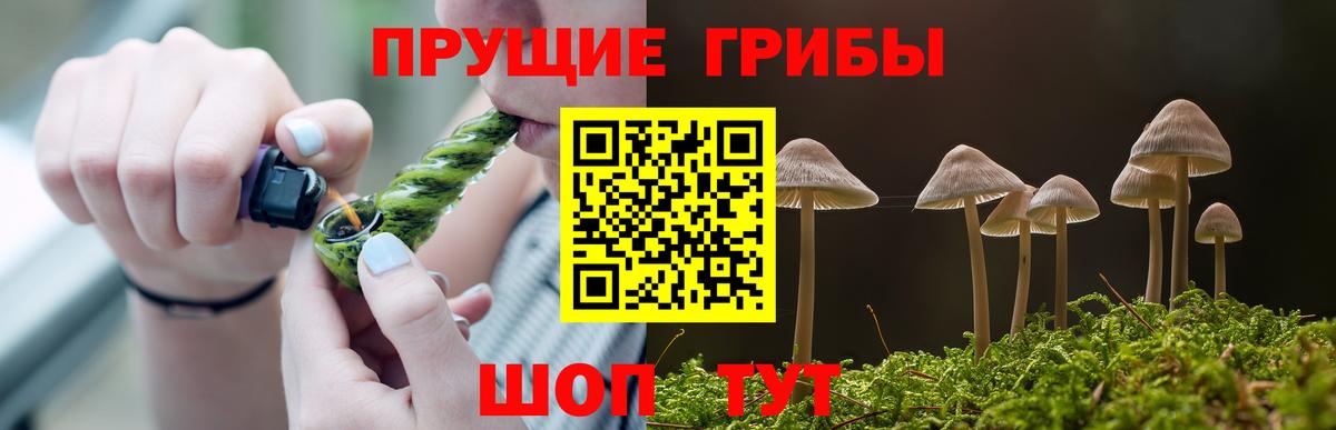 Галлюциногенные грибы MAGIC MUSHROOMS  Вход с VPN  Тутаев 